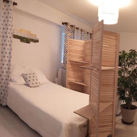 Grand studio, super équipé, 2 pas du centre-ville Montbéliard Esterno foto