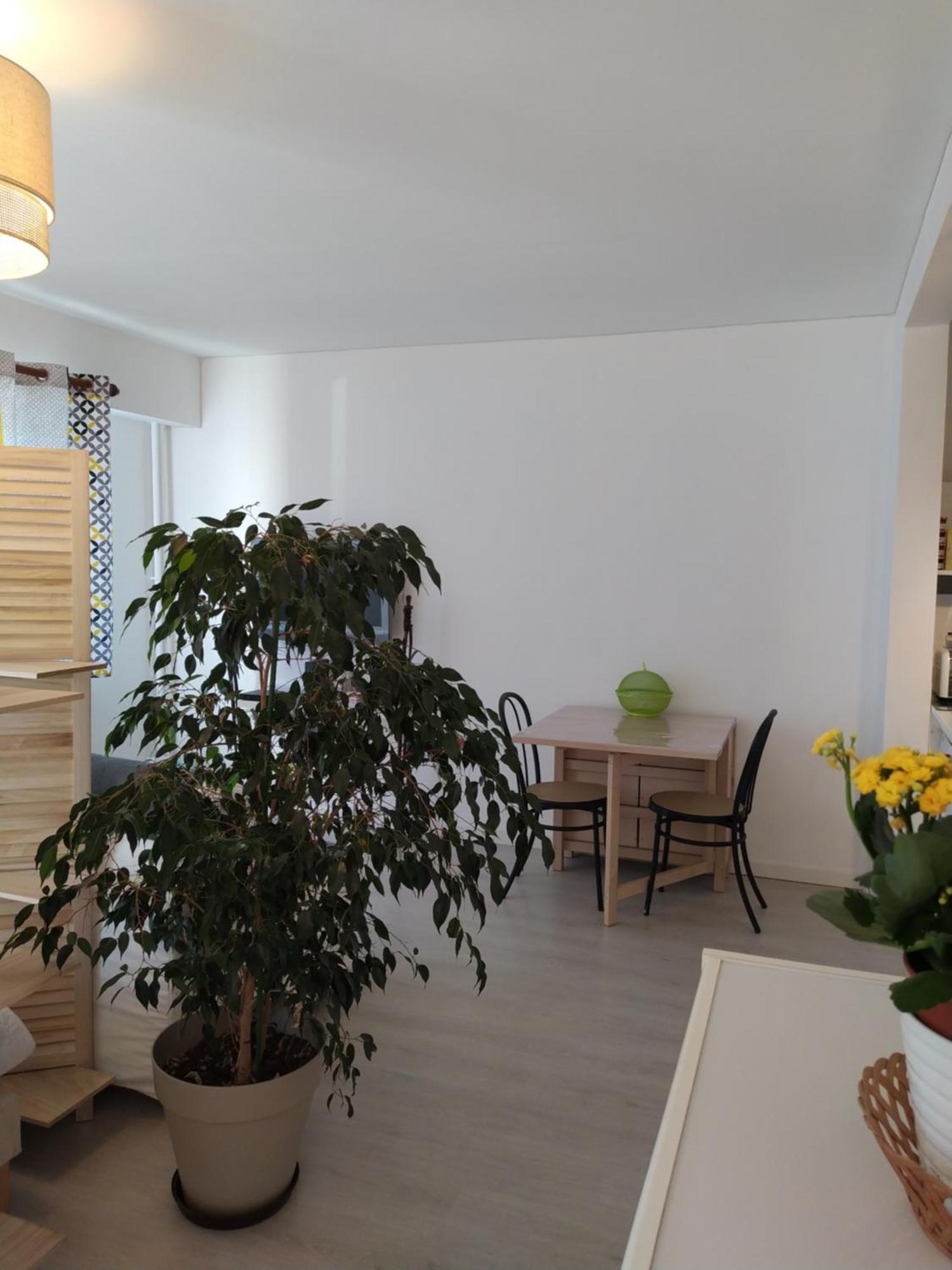 Grand studio, super équipé, 2 pas du centre-ville Montbéliard Esterno foto